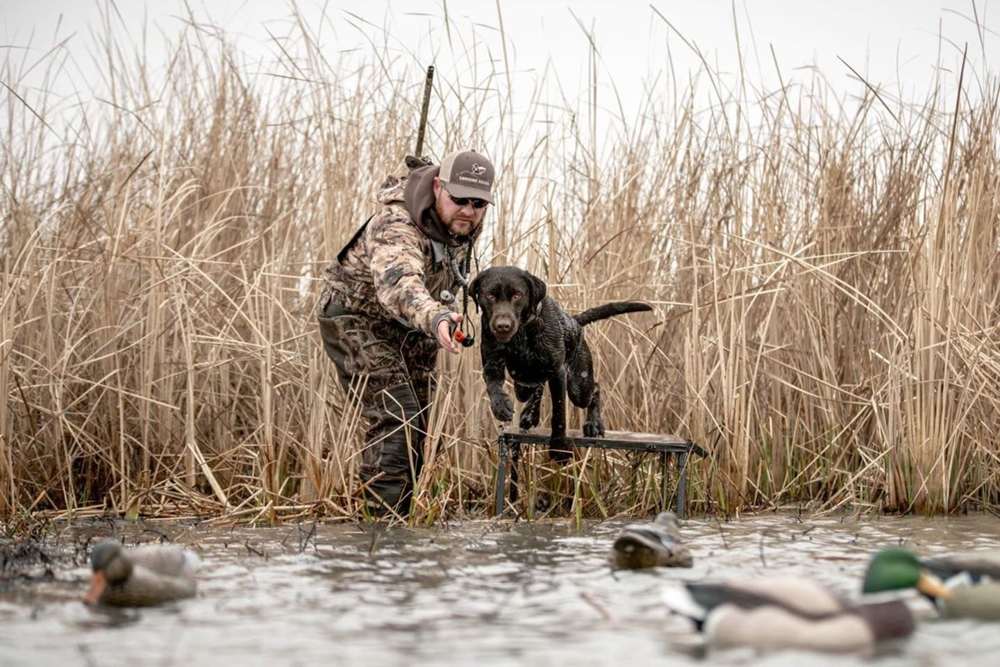 Adf9d13q — Duck Hunting application