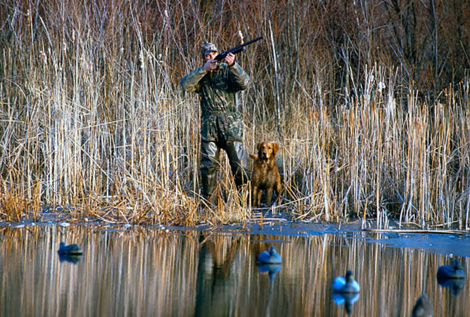 Gettyimages 612x612 — Duck Hunting application