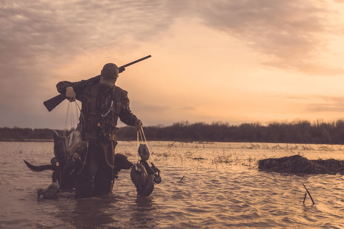 Honey brake duck unlimited — Duck Hunting application