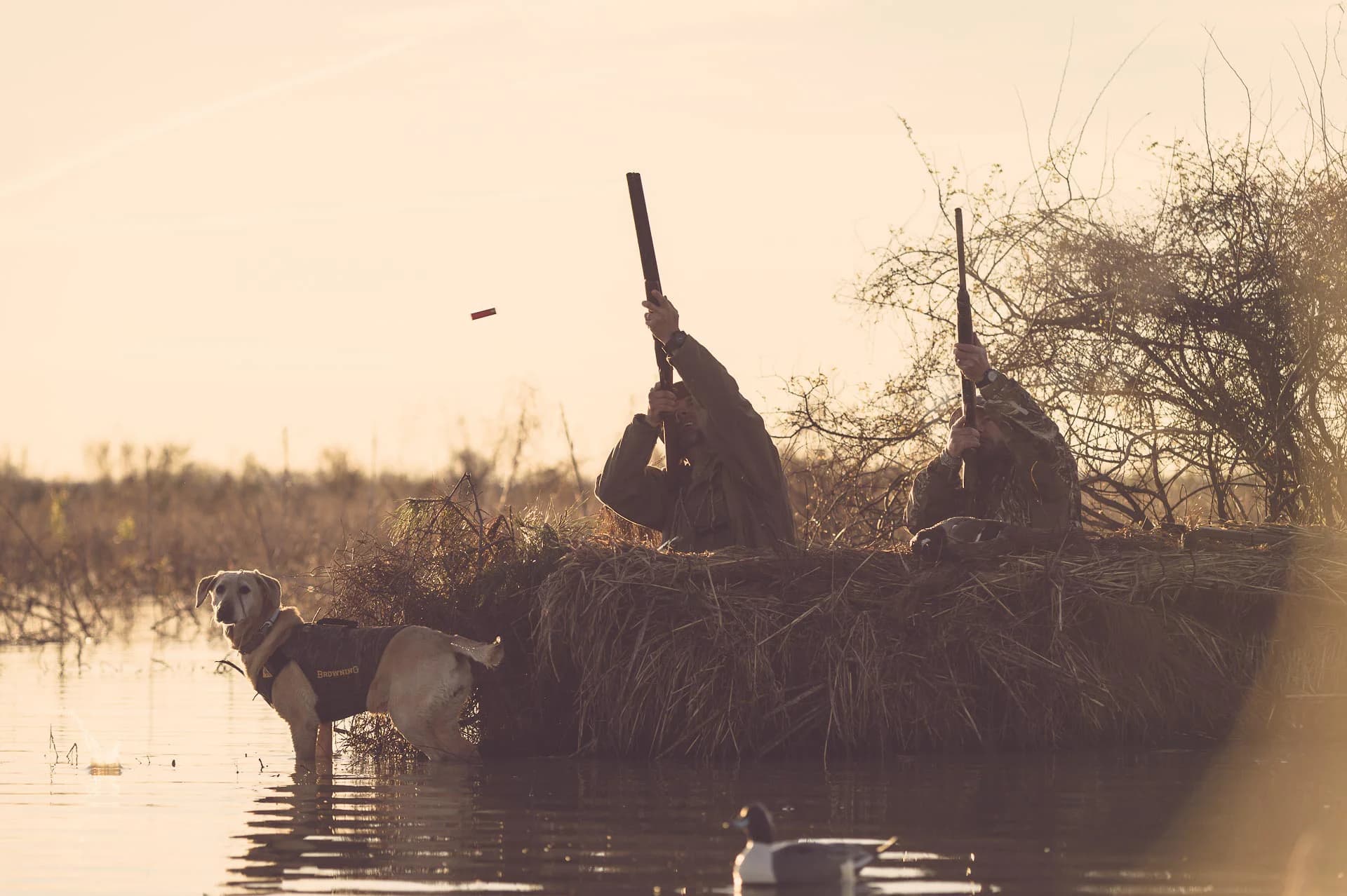 Honey brake duck unlimited — Duck Hunting application
