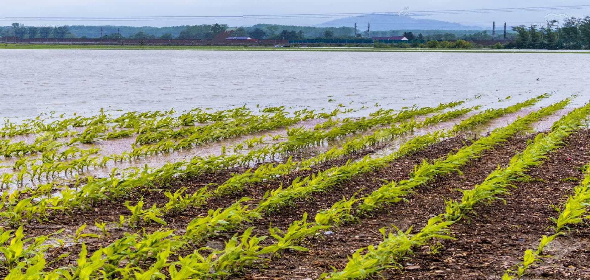 Flood berschwemmungen and flooding in agriculture — Farm application