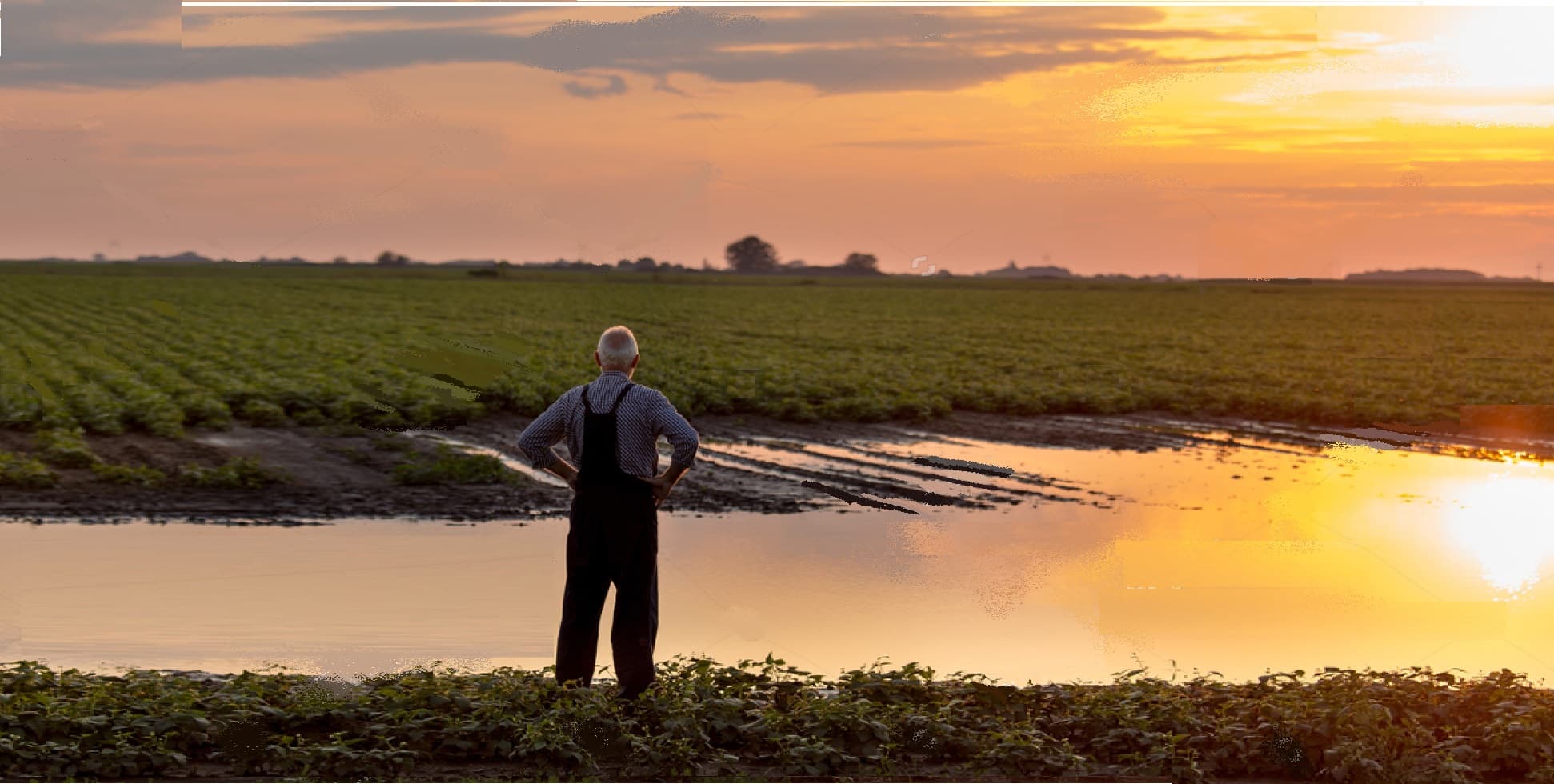 Disgusted farmer — Farm application