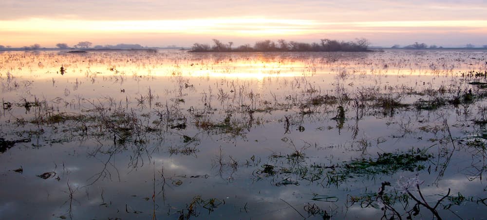 Z 37f9 pinkblog — Flood Relief application
