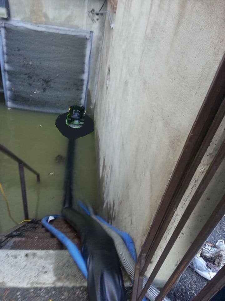 Wathog draining another basement — Flooded Basements application
