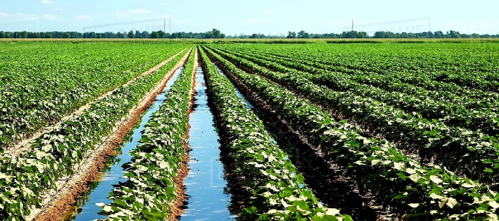 Irrigation application — Warthog pump application photo