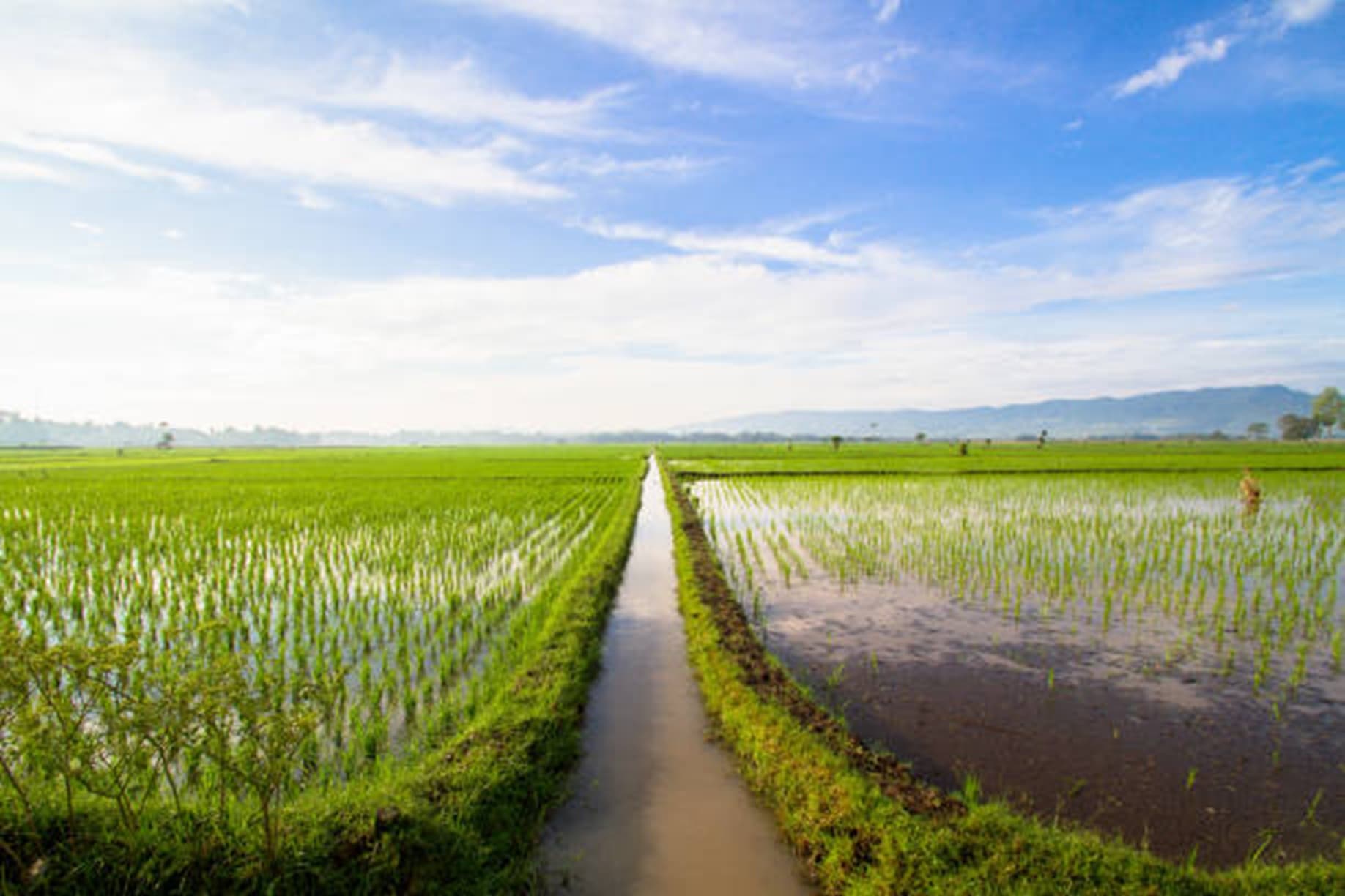 Gettyimages 612x612 — Irrigation application