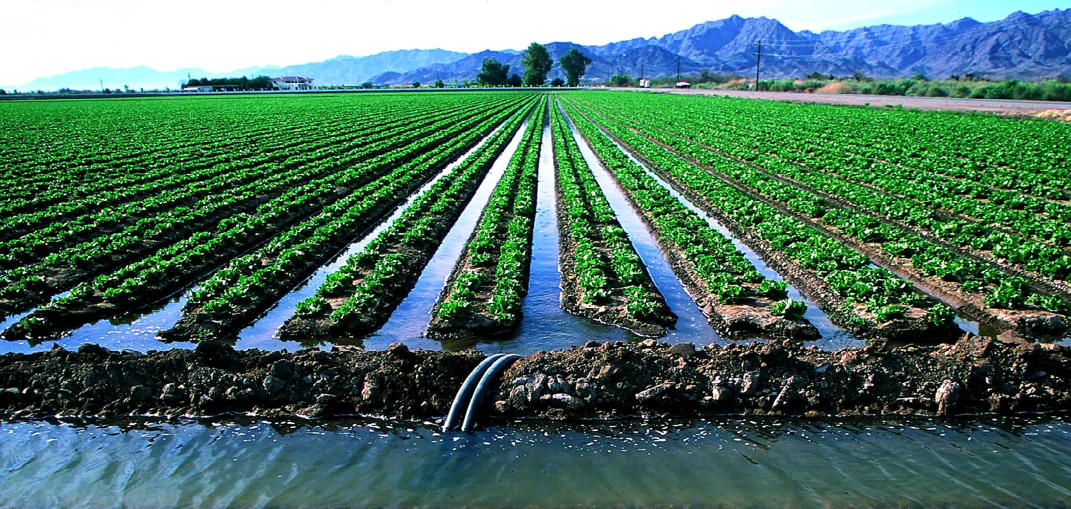 Swiim6 — Irrigation application