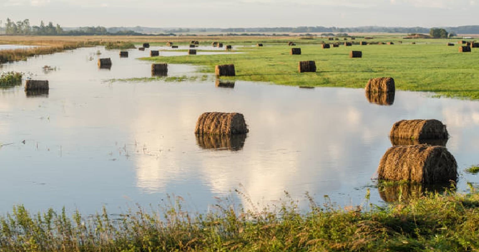 Istockphoto 612x612 stretched — Ranch application